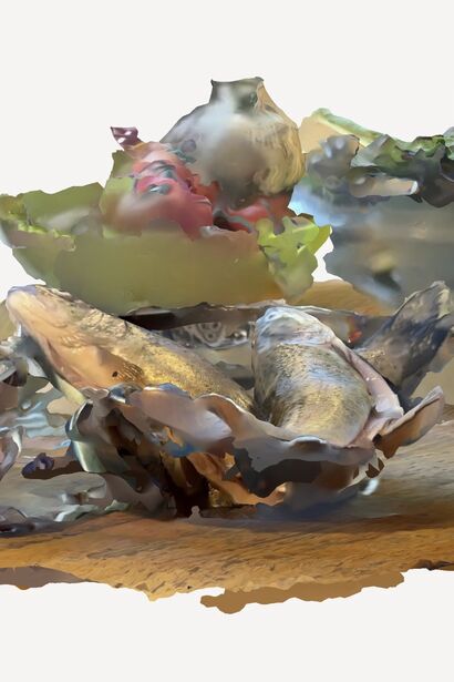 Trout - a Photographic Art Artowrk by Niels Tofahrn